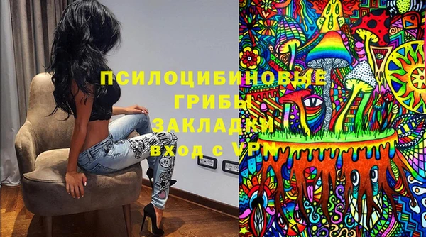 хмурый Ельня
