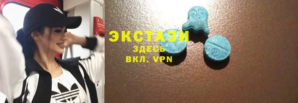 хмурый Ельня