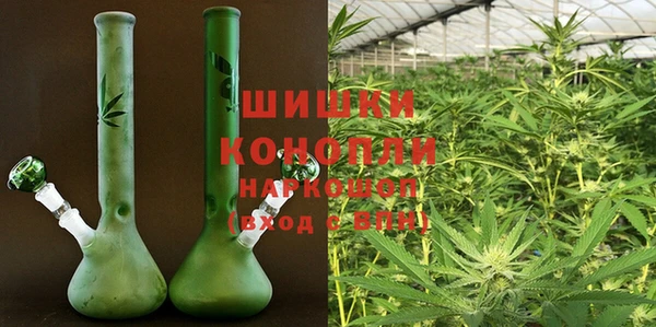 сатива Дмитров