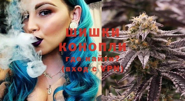 сатива Дмитров